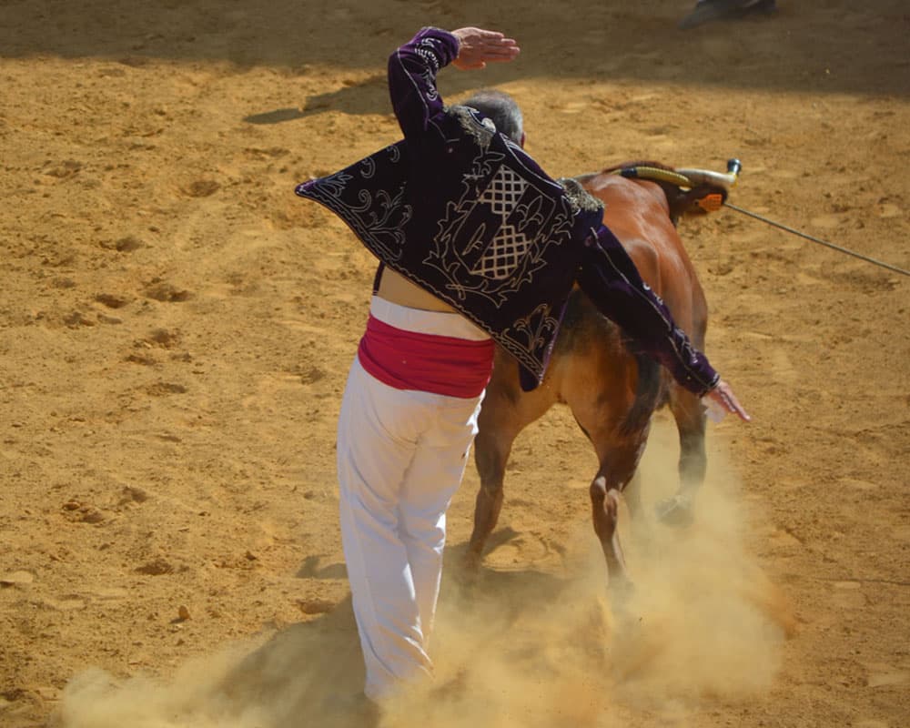 course landaise