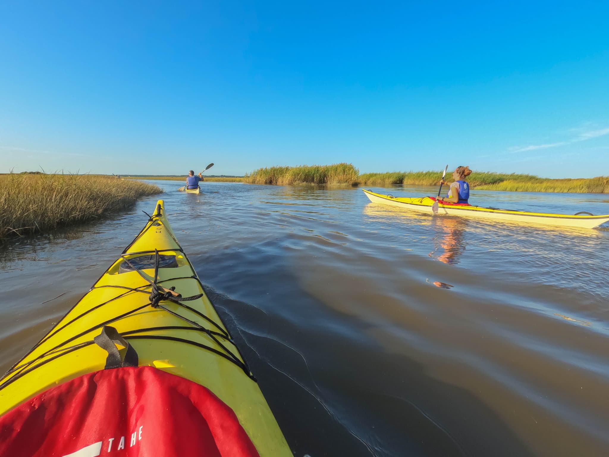Kayak de mer dans le delta