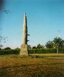 croix-hosanniere-fiche-curiosites