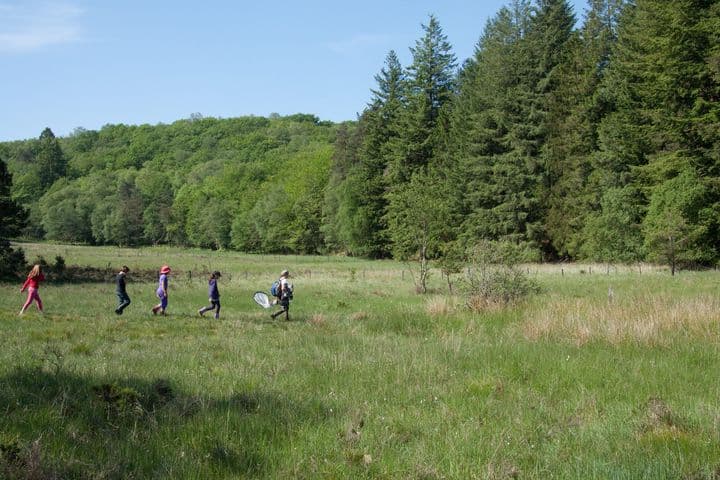 La tourbière des Dauges