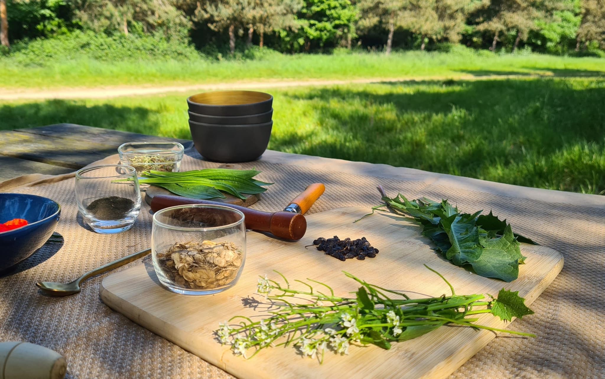cuisine des plantes sauvages