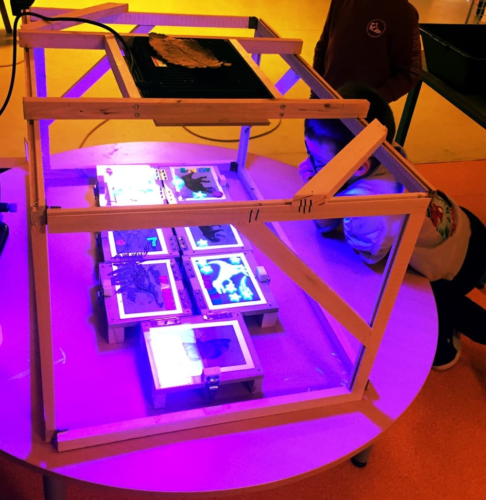 cyano péda lampe