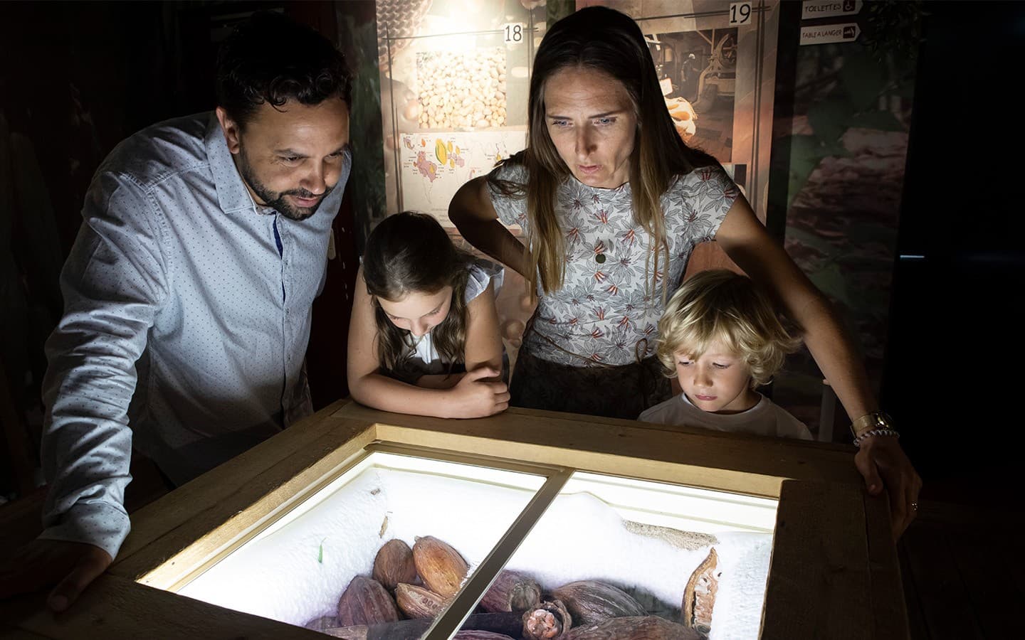 Parcours découverte musée