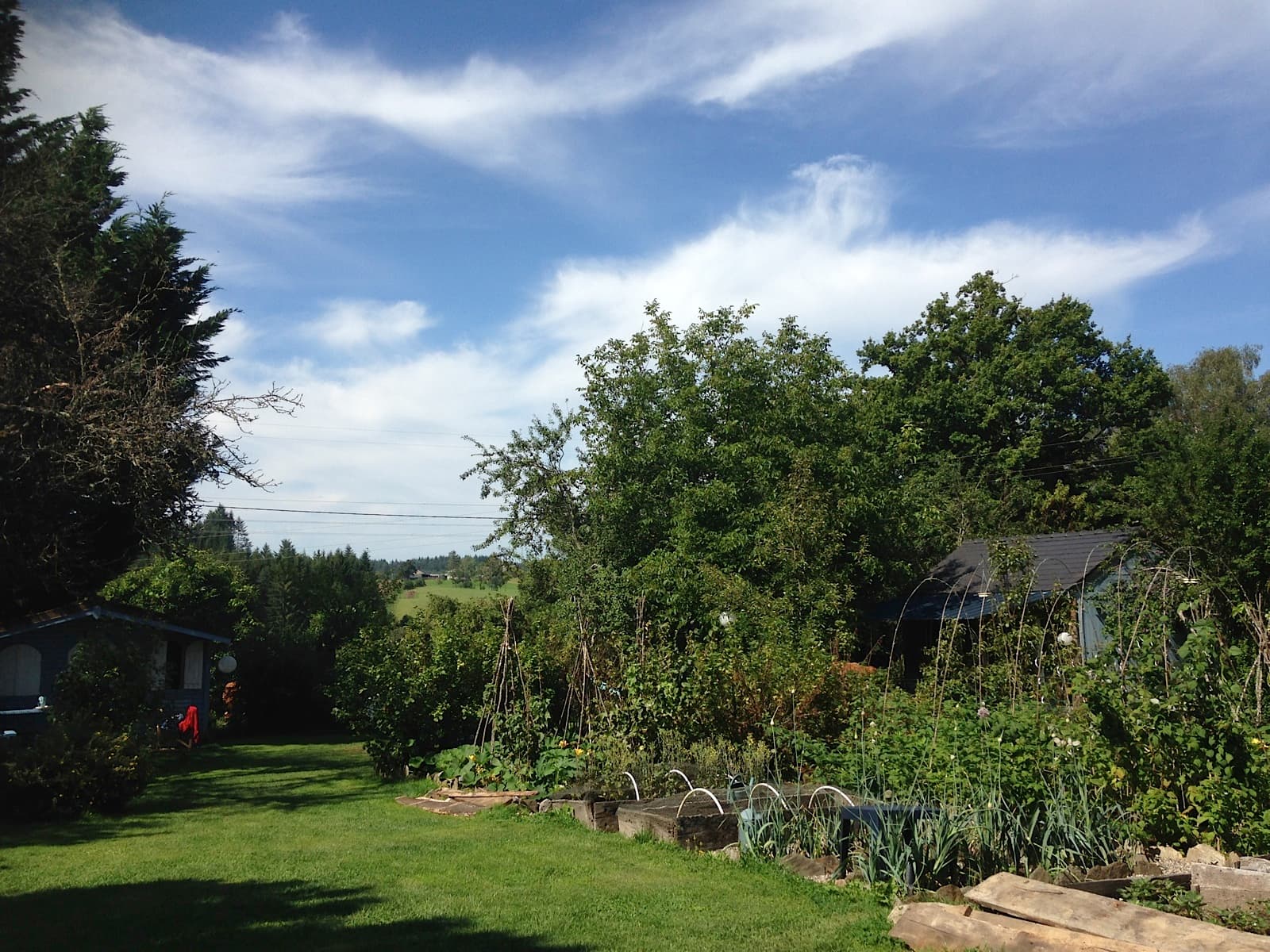 Location Mollema - Goulles - Potager_11