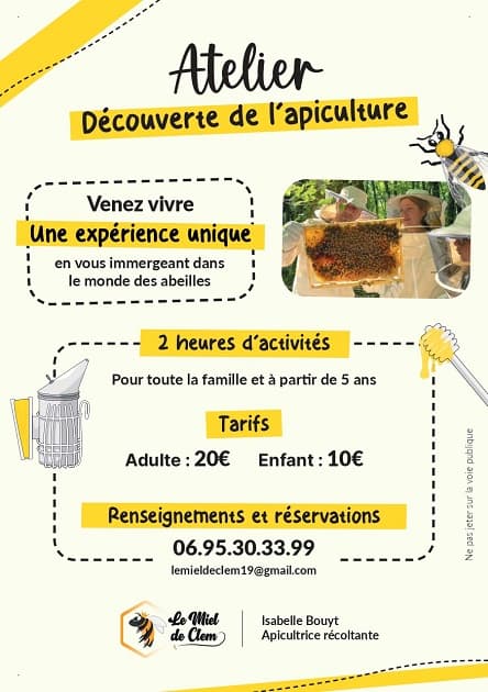 découverte de l'apiculture
