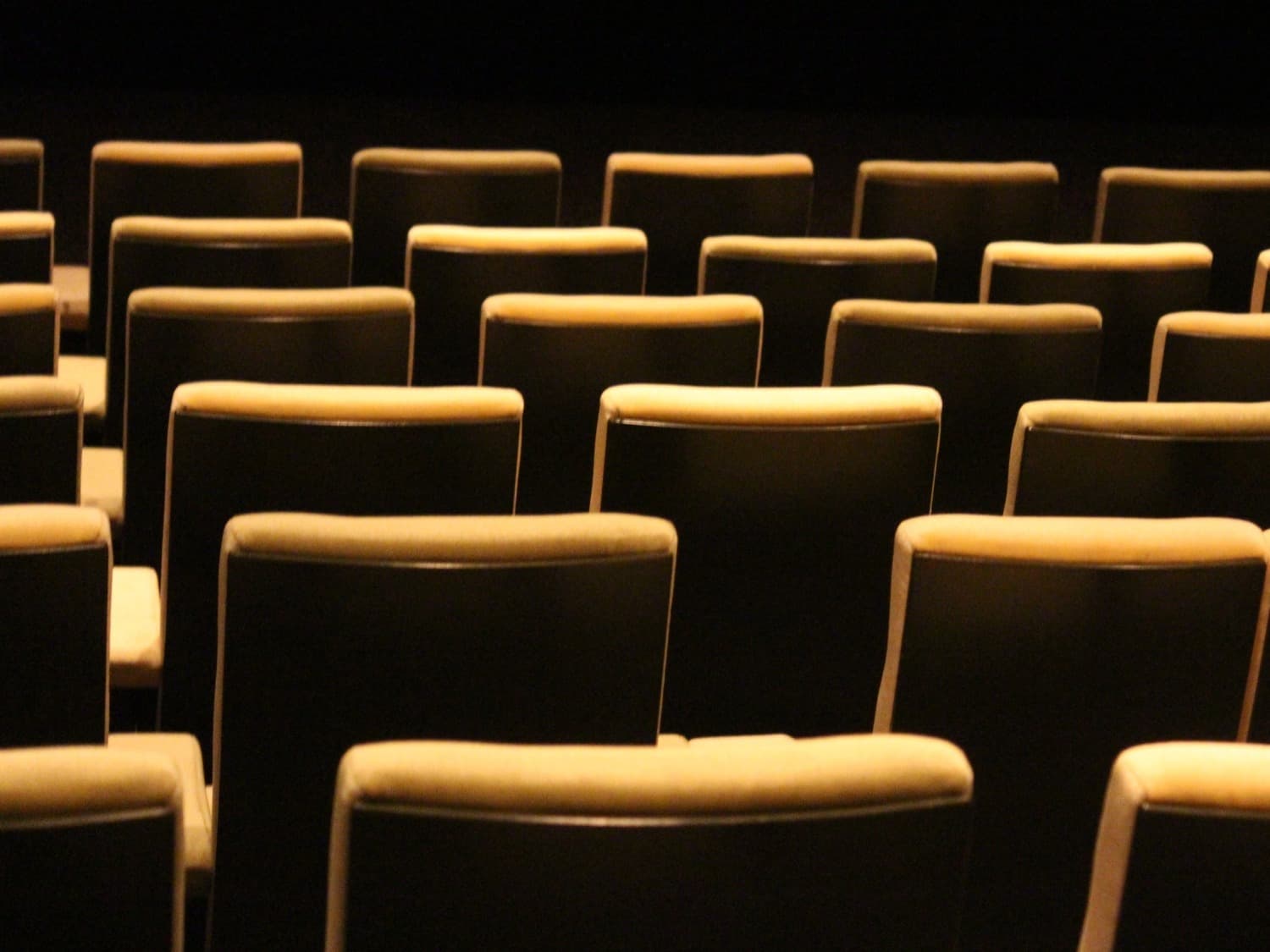 cinéma zoetrope blaye 800x600