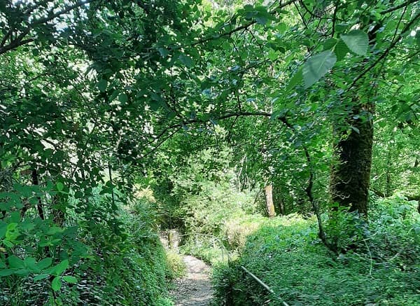 descente à la Grotte de Lastournelle
