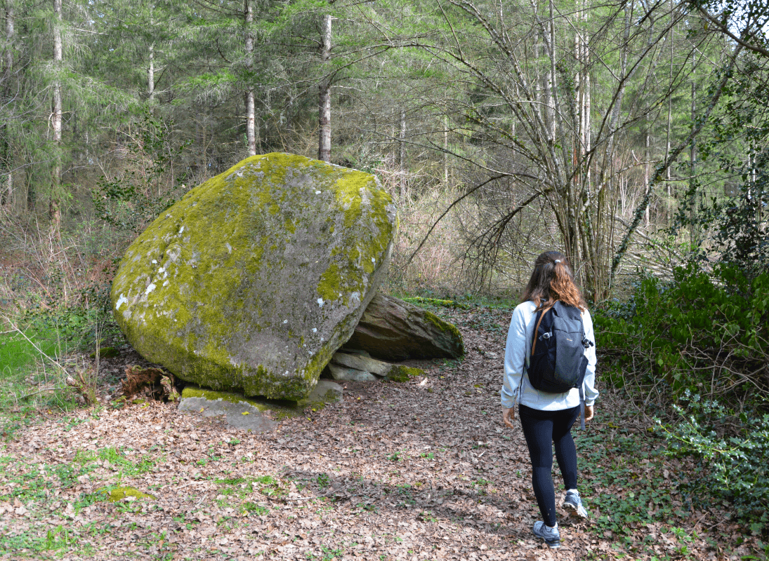 dolmen-de-la-goupillère-les-cars