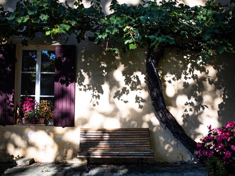 Domaine de la Grave