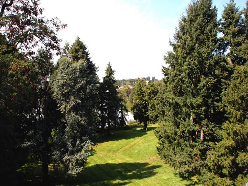 domaine-de-la-roche-1
