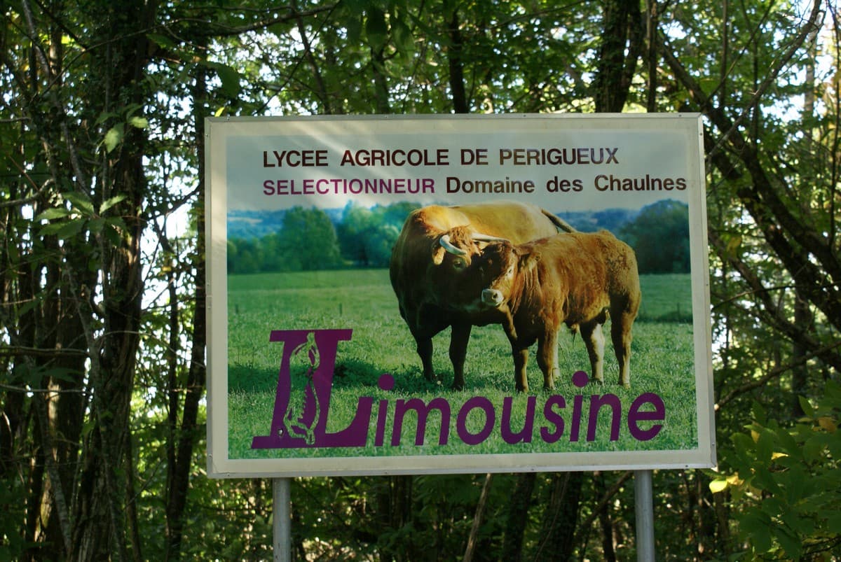 domaine des chaulnes 03