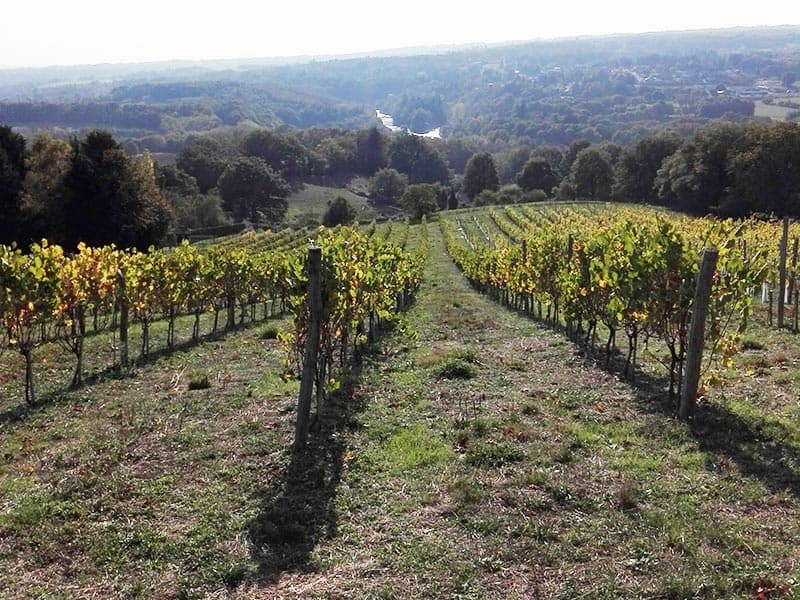 domaine-des-gabies-terroir