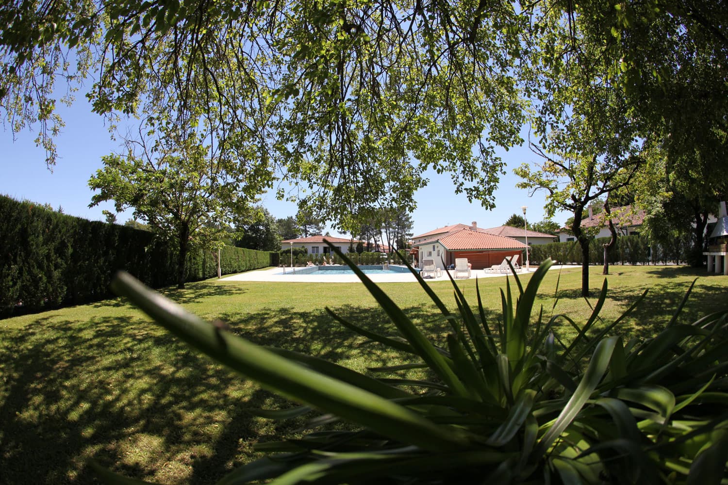 Domaine du Pignada
