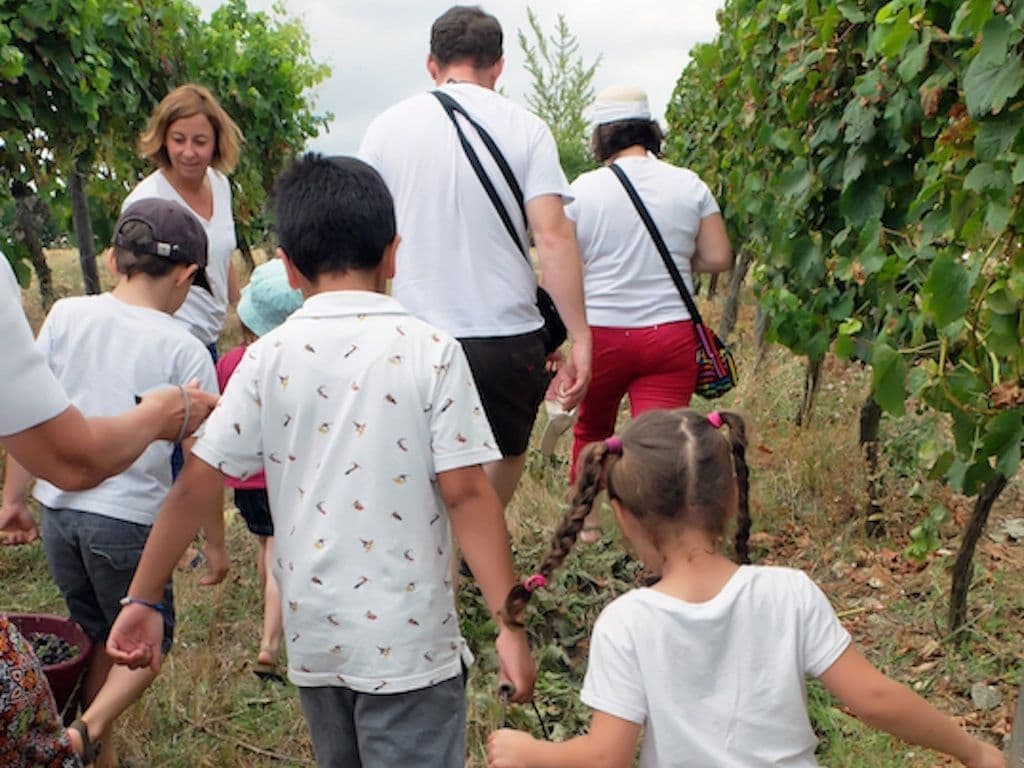 domaine_du_siorac_visite