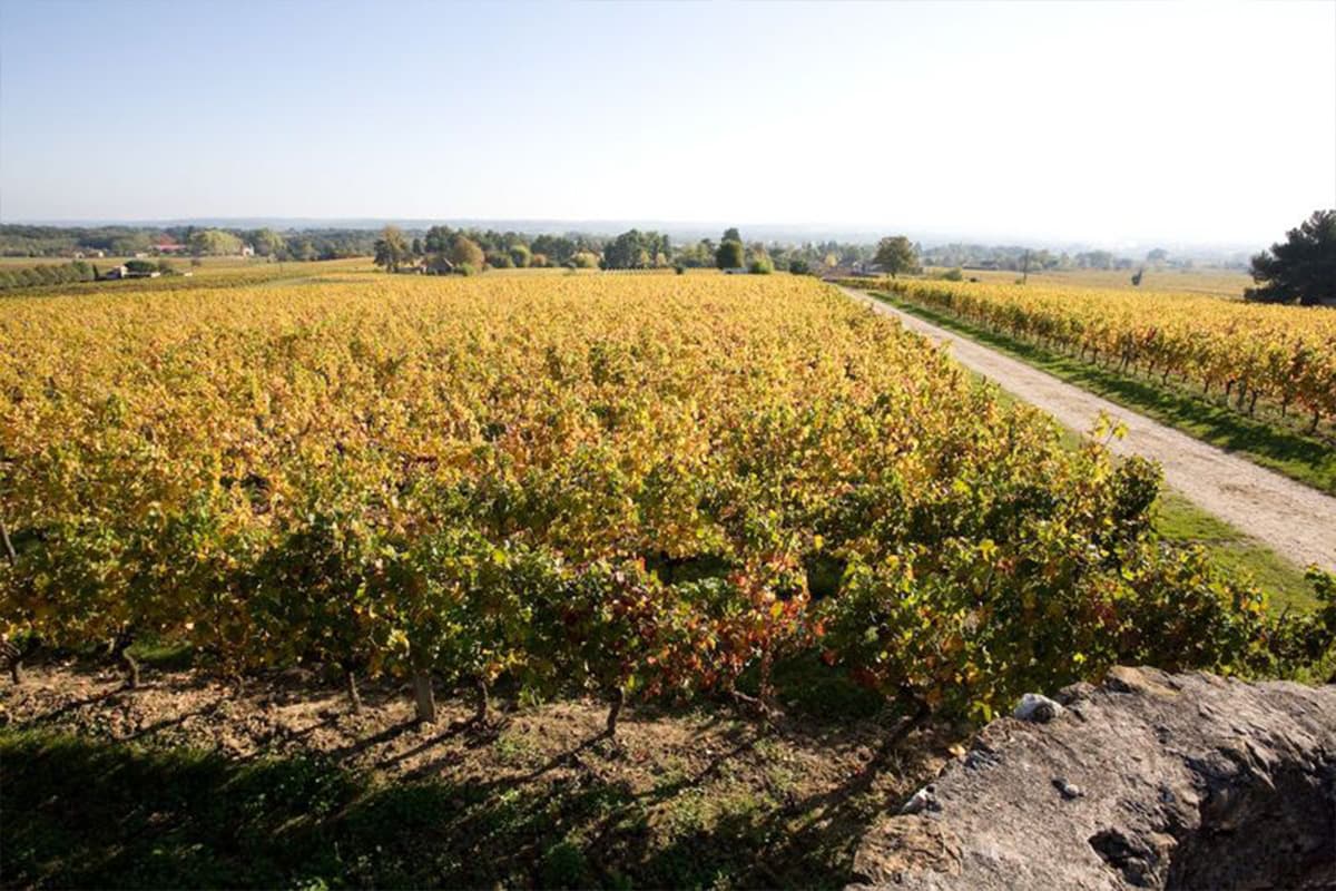 domaine haut pecharmant 2