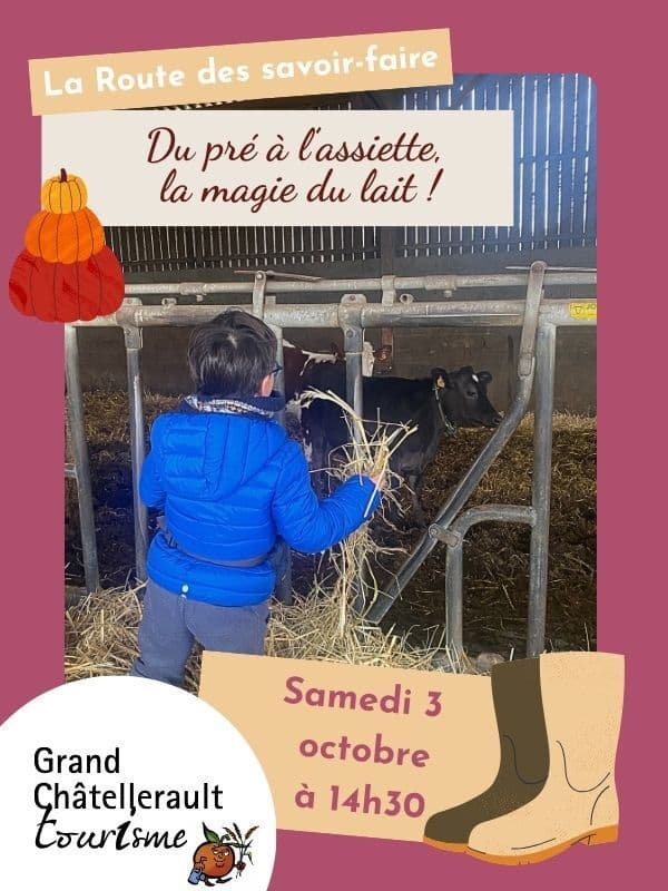 Du pré à l'assiette, la magie du lait_1
