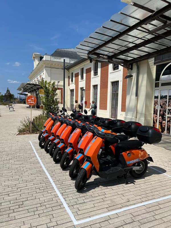 eDOG GARE MARMANDE1