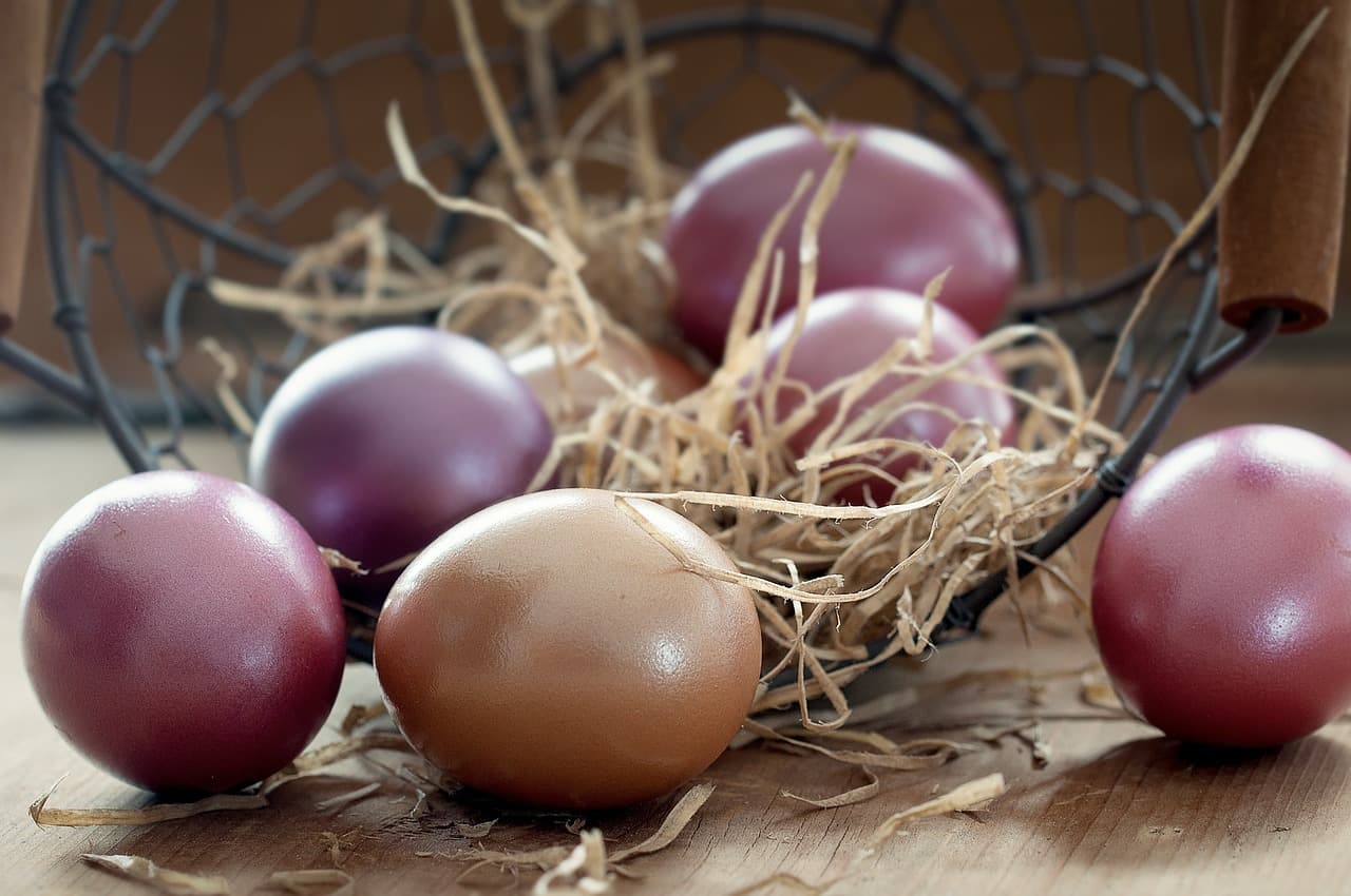 Oeufs