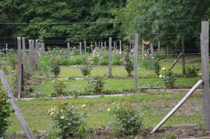 edenetsens-reclus--5-