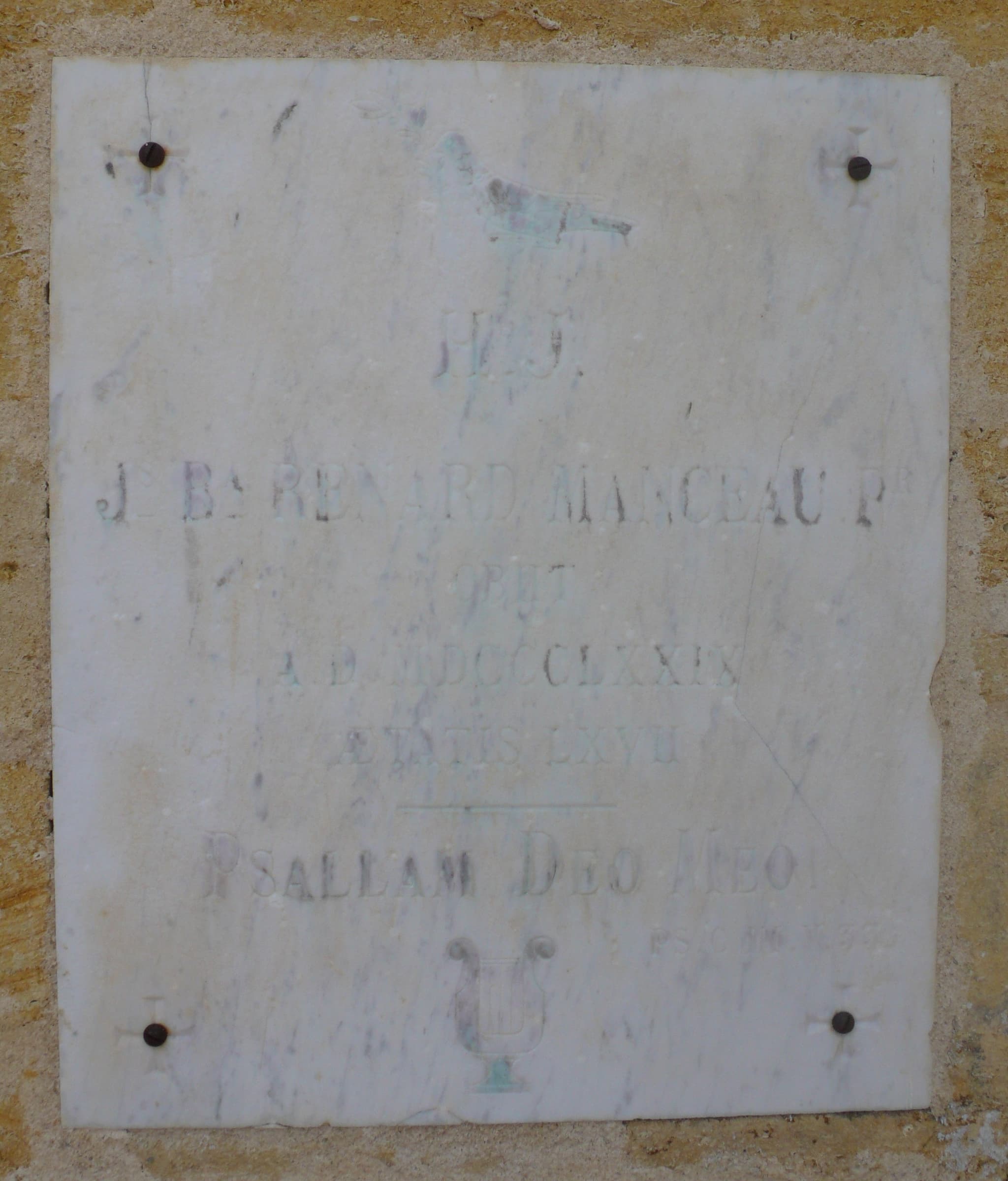 eglise st martin castres 3