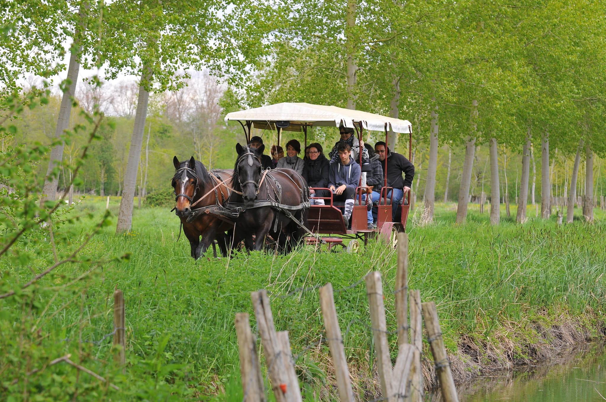 La Maison du Cheval à Sansais-La Garette