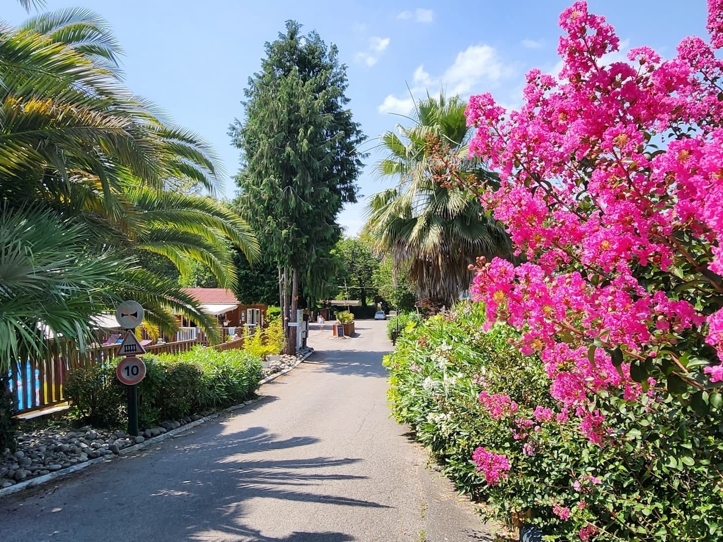 Camping City Nature - lescar - entrée