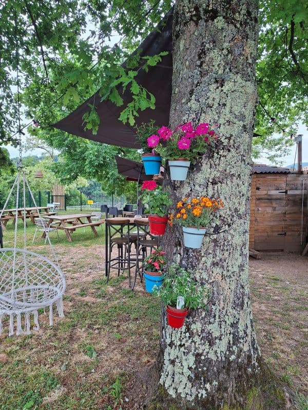 entrée arbre