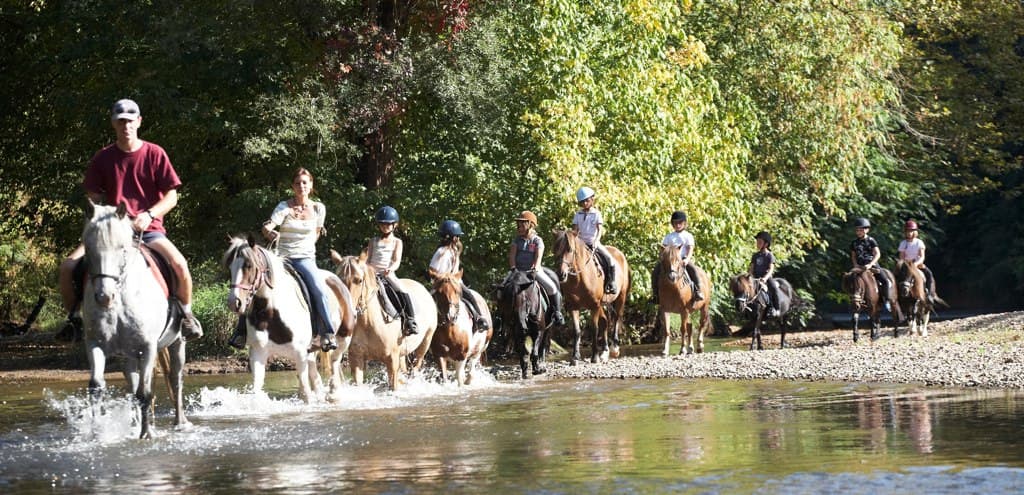 équitation