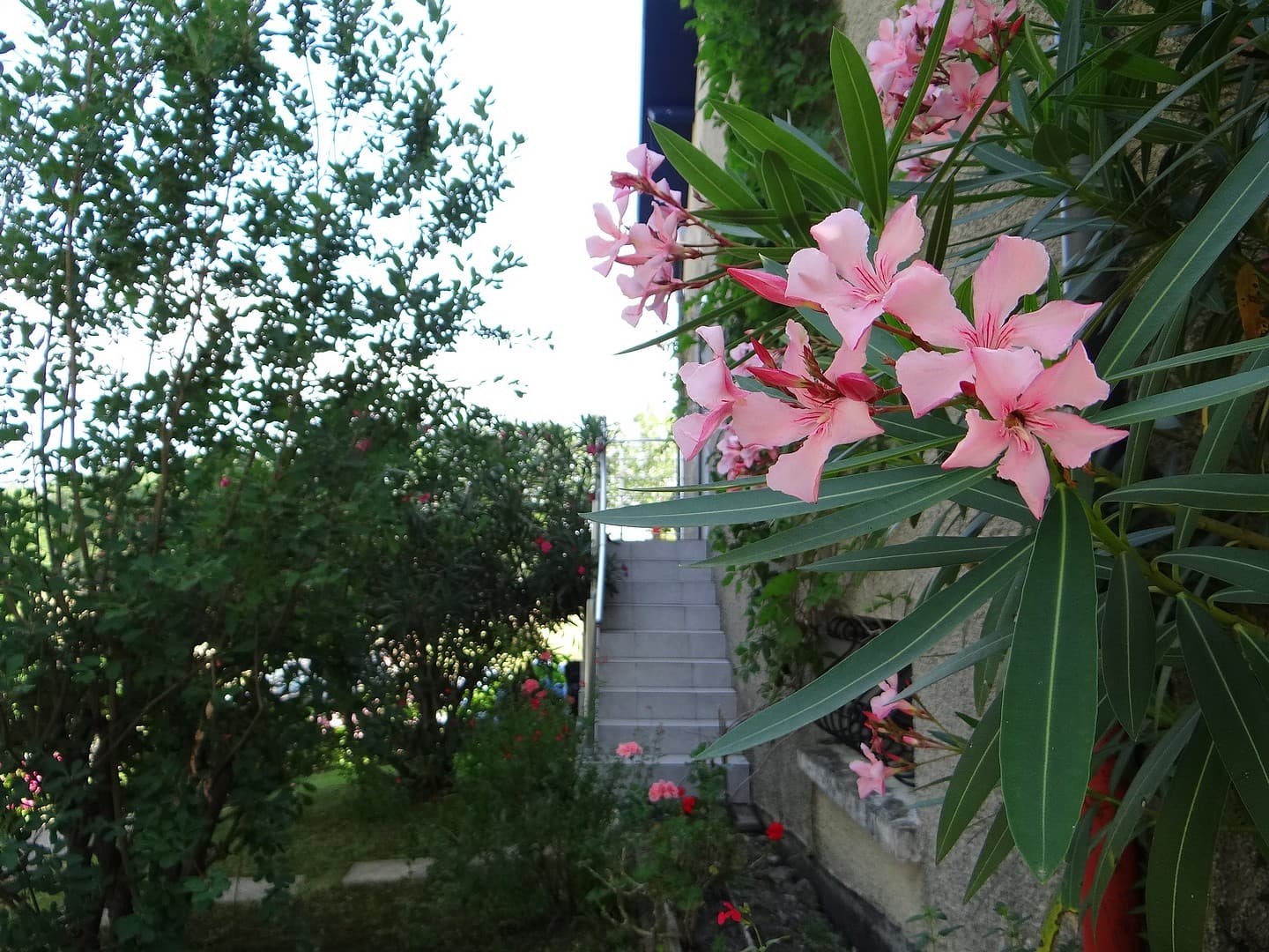 Chemin Jeannie