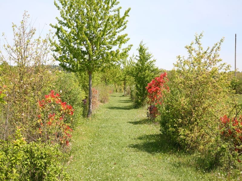 Parc de Loisirs de Pombonne