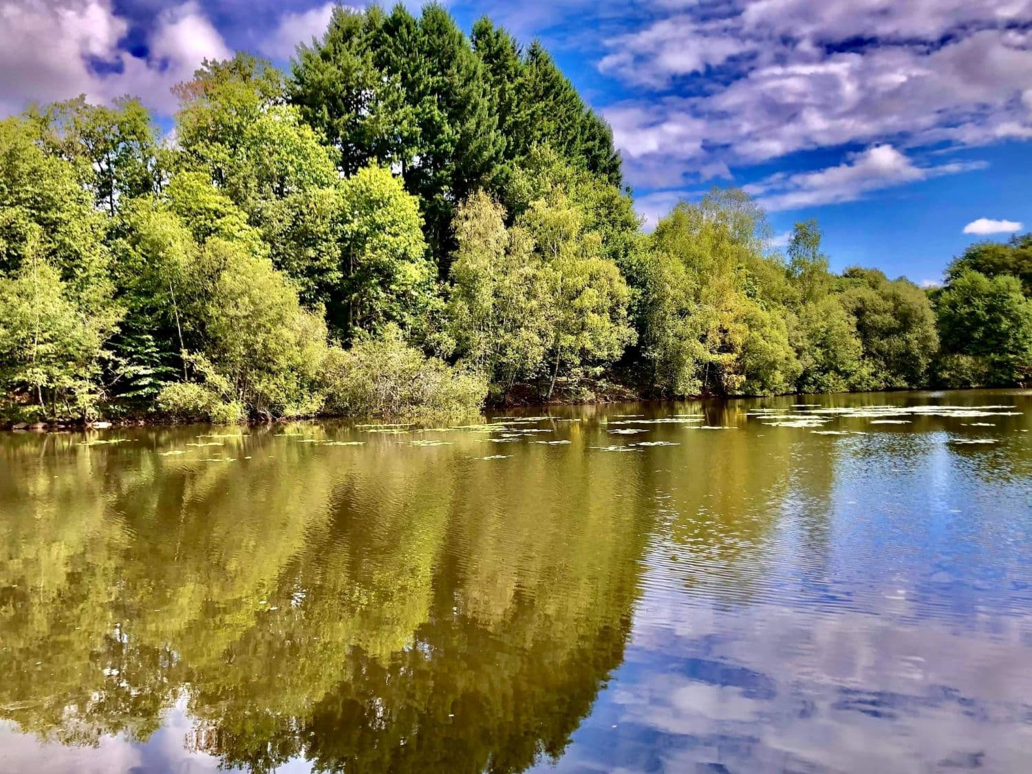 etang de Gorceix 1