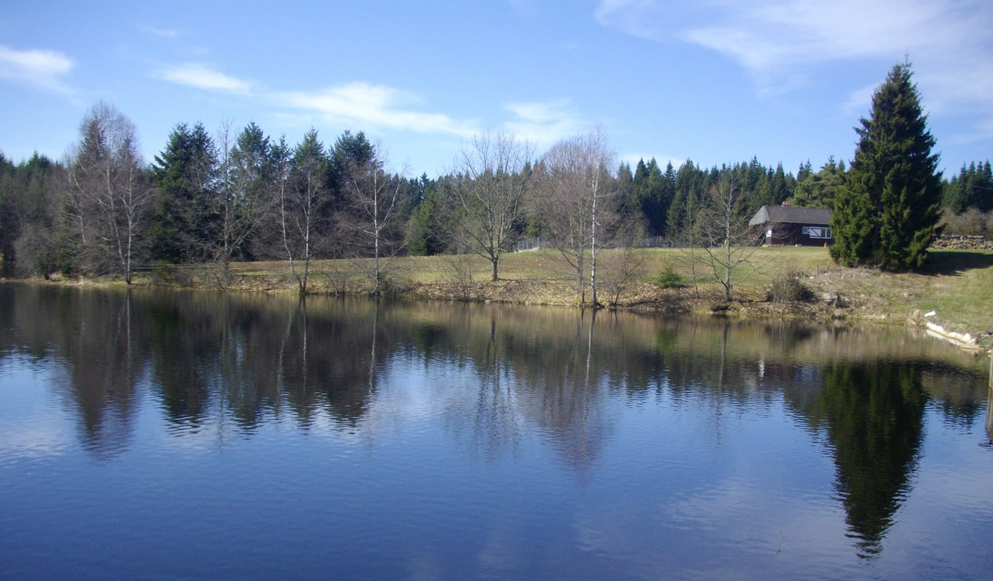 UNE VUE DE L'ETANG