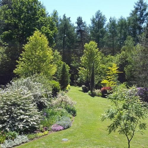 Jardin Grelinette et Pinceaux Sérandon 2