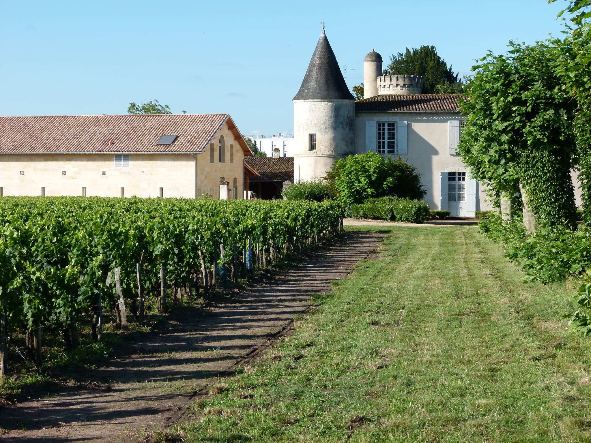 facade+vignes
