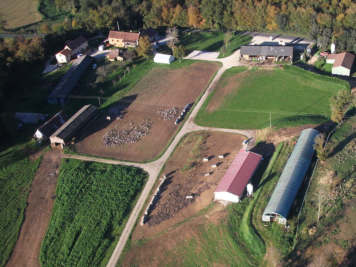 Ferme des Oies du Périgord Noir 3