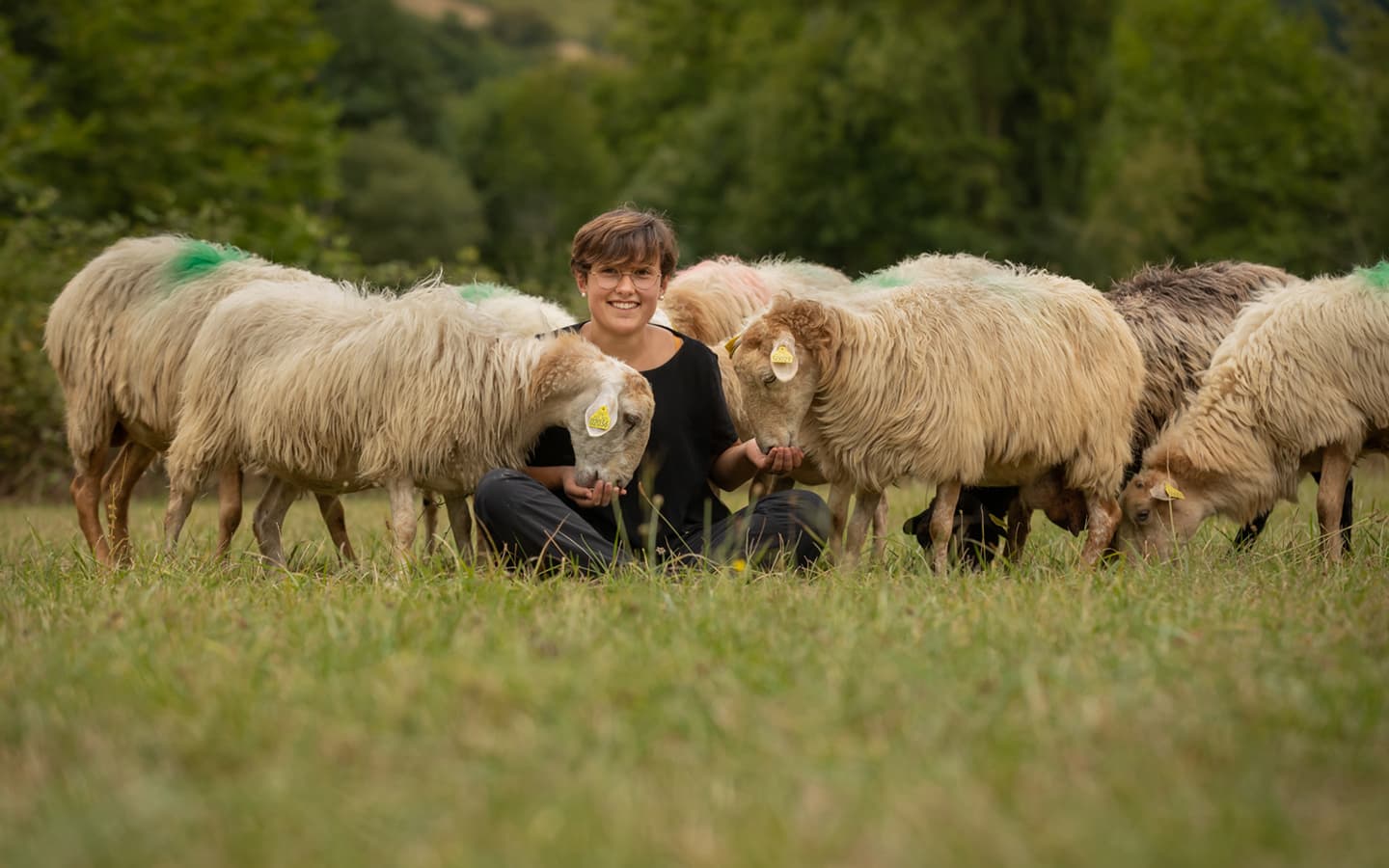 ferme_arrokain_soule_pays_basque