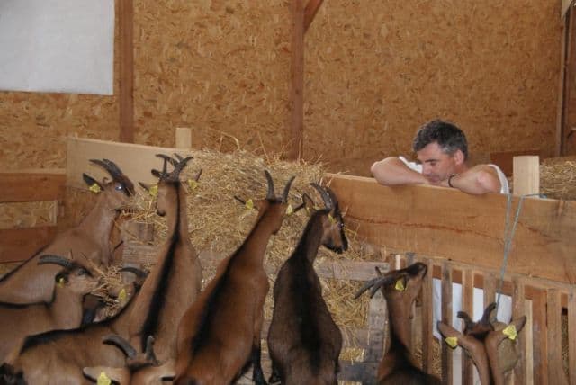 Fromages de chèvre de la Ferme de Fantouillet_1