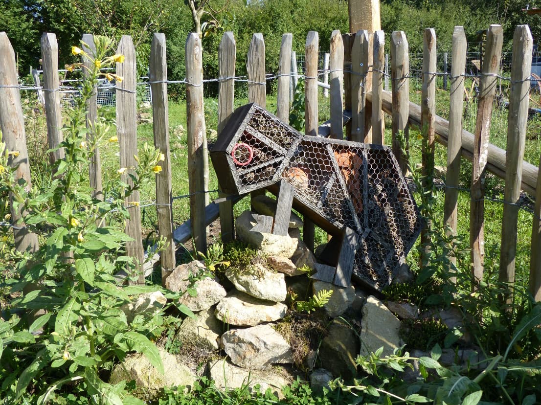 Jardin