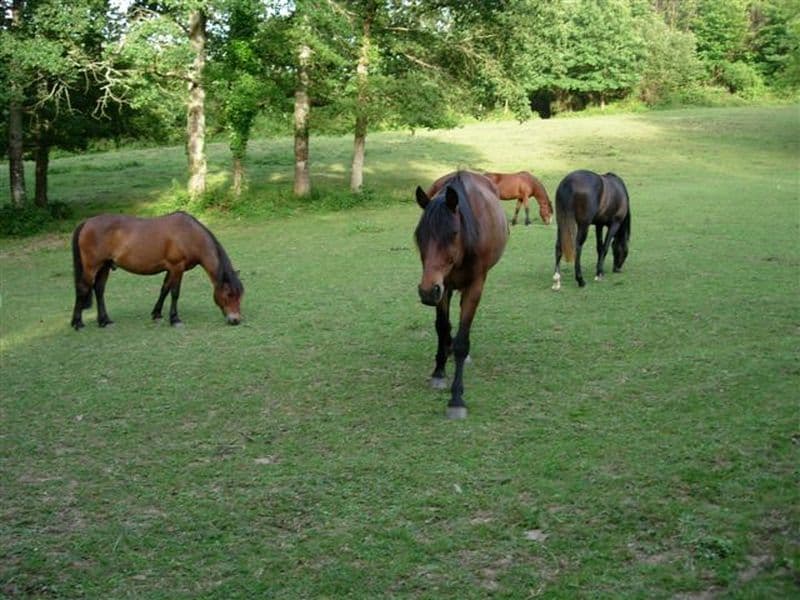 Ferme de Grand Jean