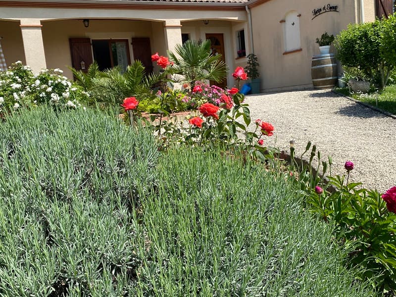 fleurs