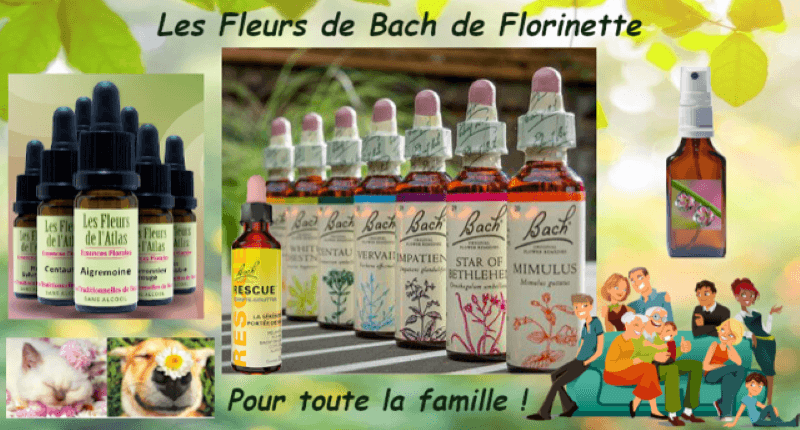 fleurs de bach florinette
