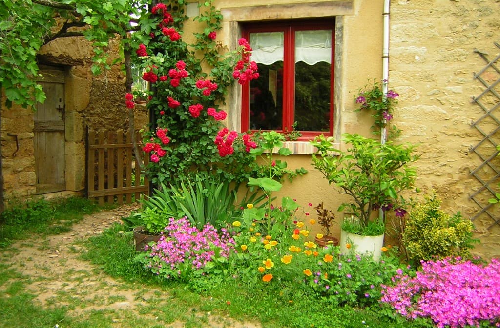 fleurs du printemps