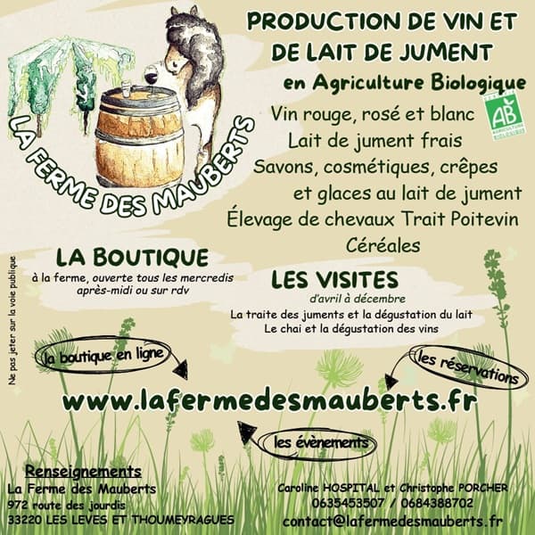 flyer 1515v2