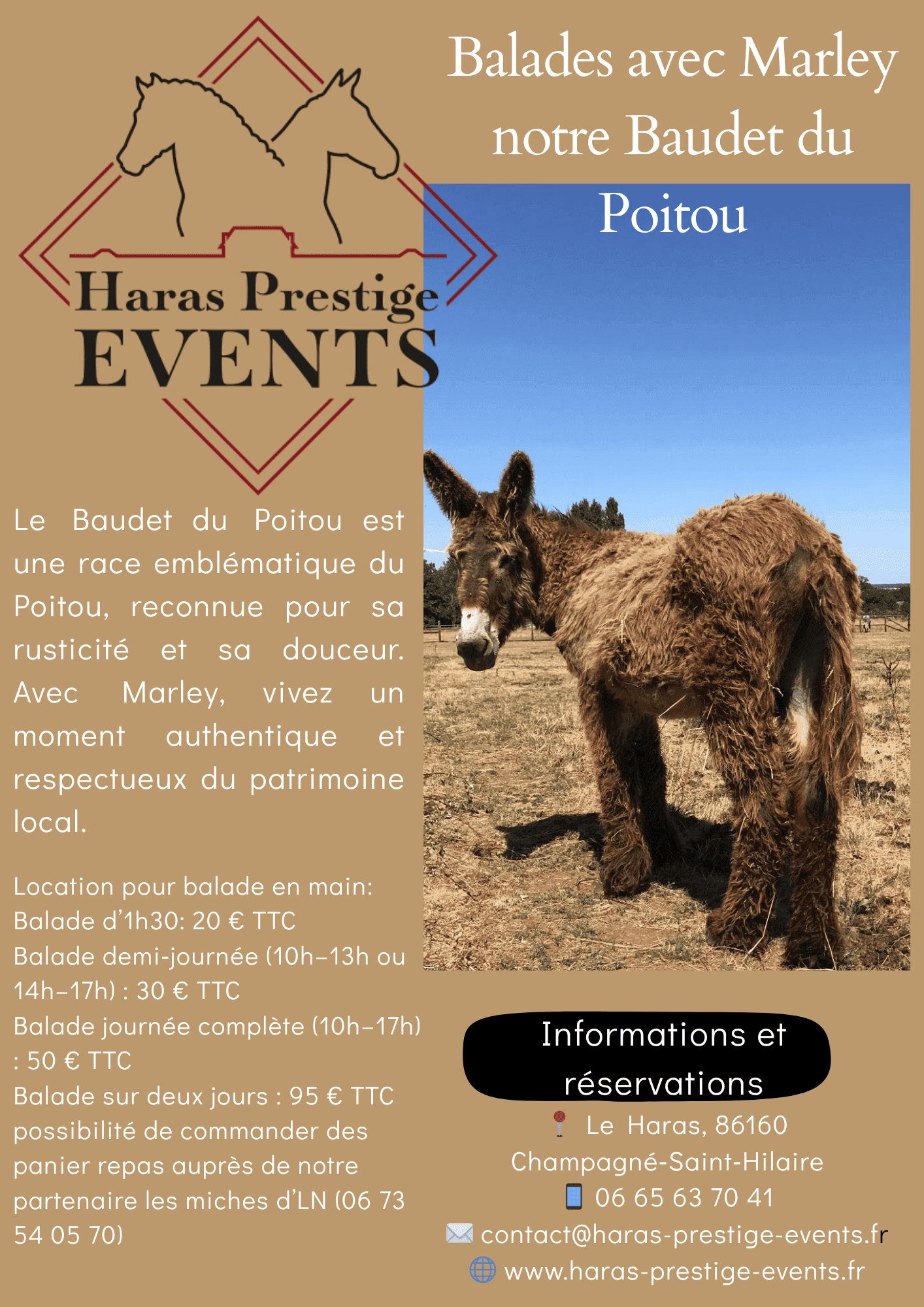 flyers pour location marley balade comrpesse