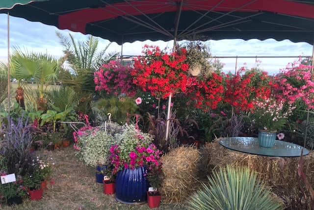 foire agricole 2