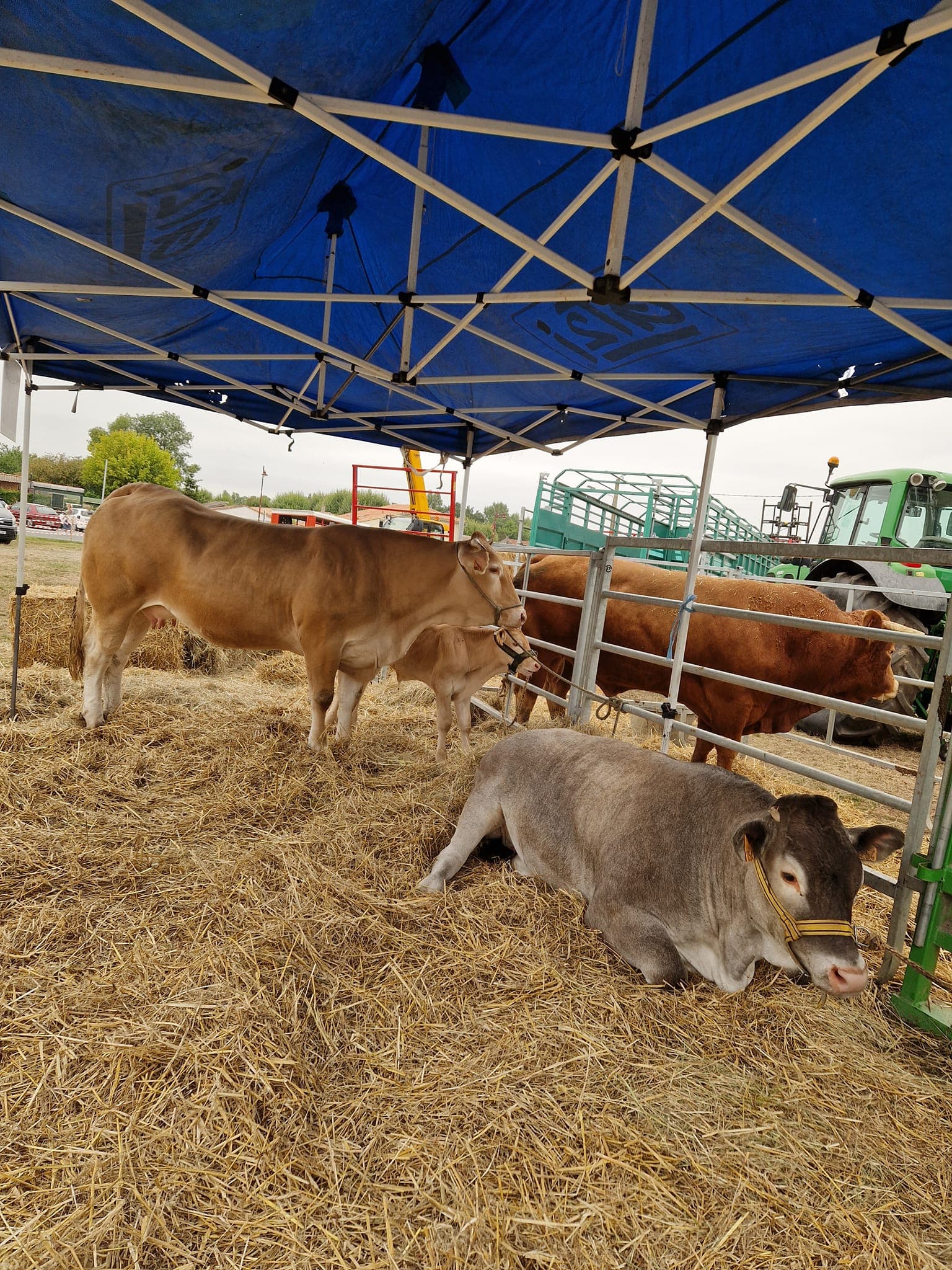 foire agricole 4