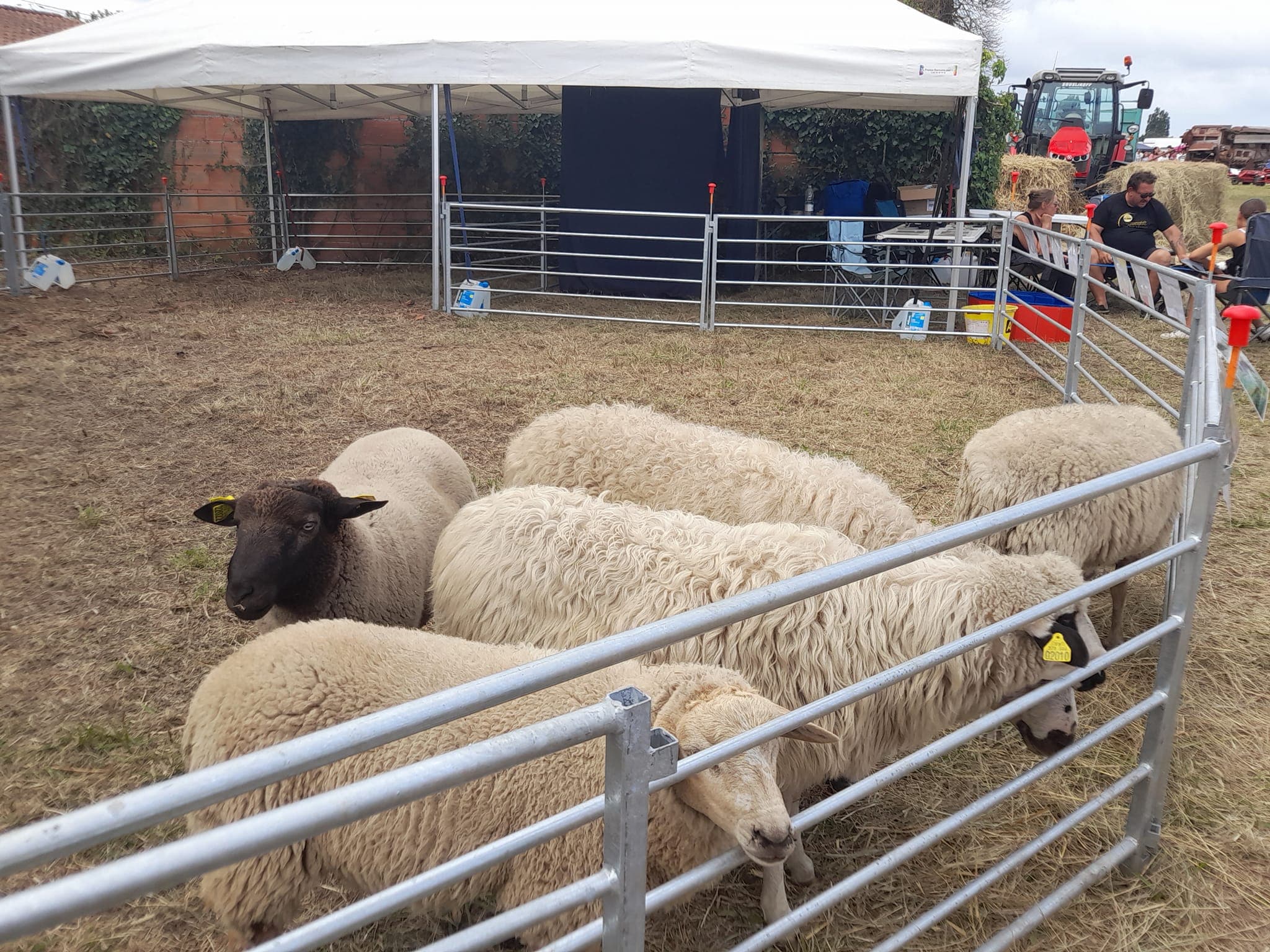foire agricole laterrade 2