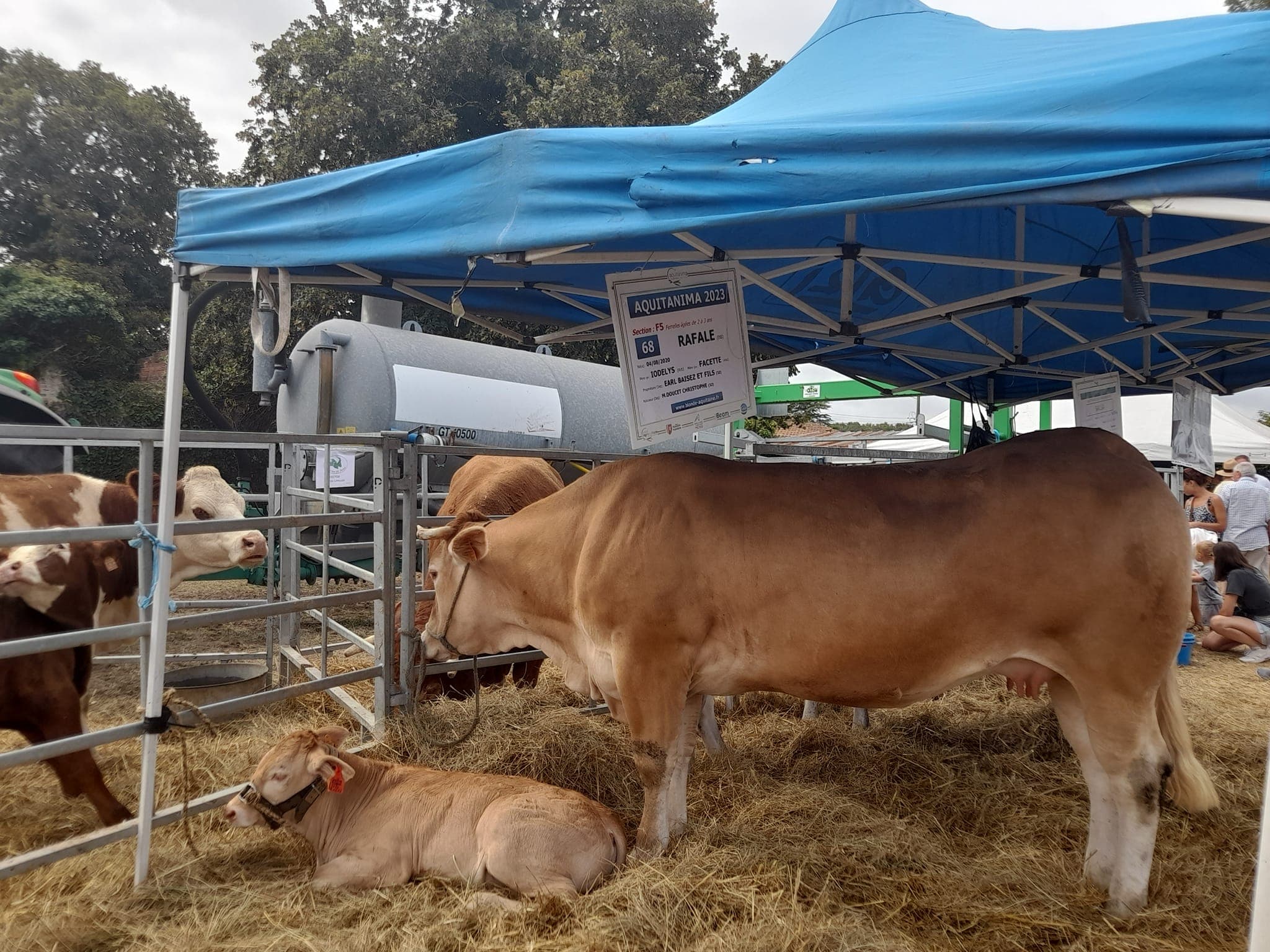 foire agricole laterrade