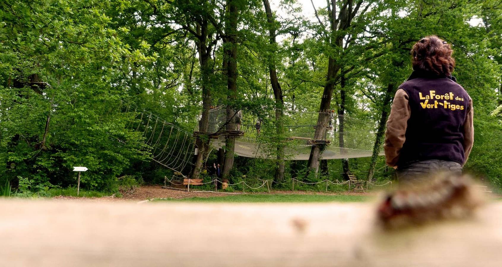La Forêt des Vert'tiges - Pau - Parcours
