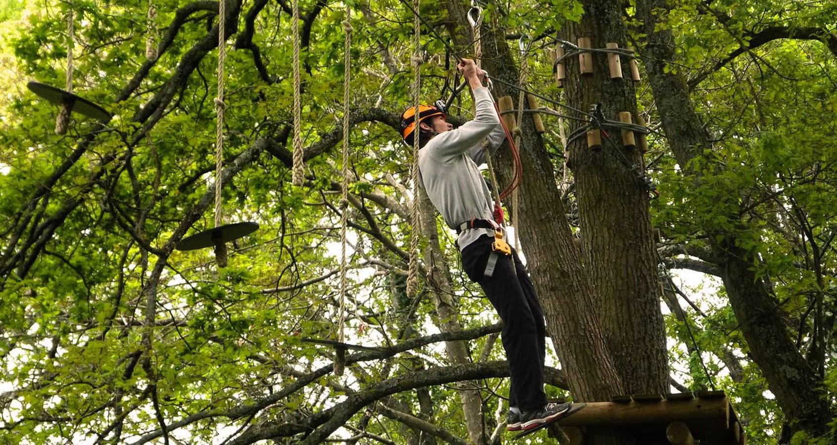La Forêt des Vert'tiges